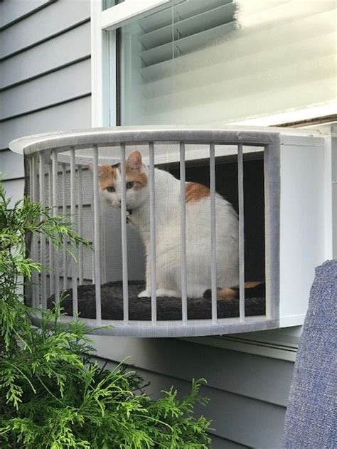 electrical enclosure with window|outdoor window enclosure for cats.